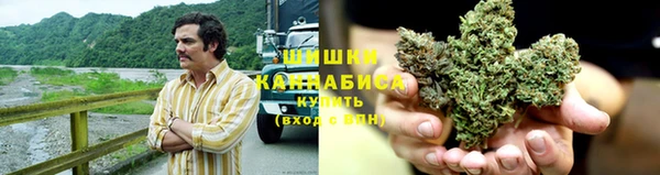 сатива Медвежьегорск