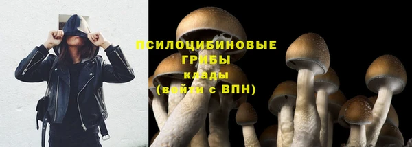 шишки Аша