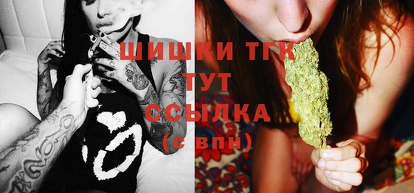 молекула духа Медногорск