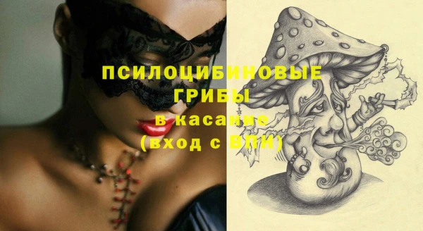 ешки Михайлов