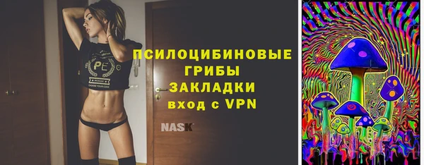 молекула духа Медногорск