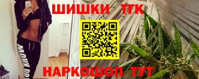 индика Заводоуковск