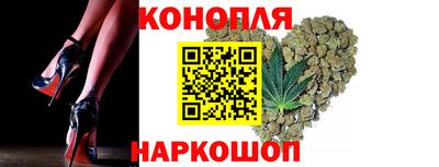 прущие грибы Жуковский