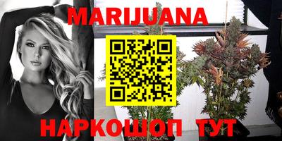 альфа пвп Волгодонск