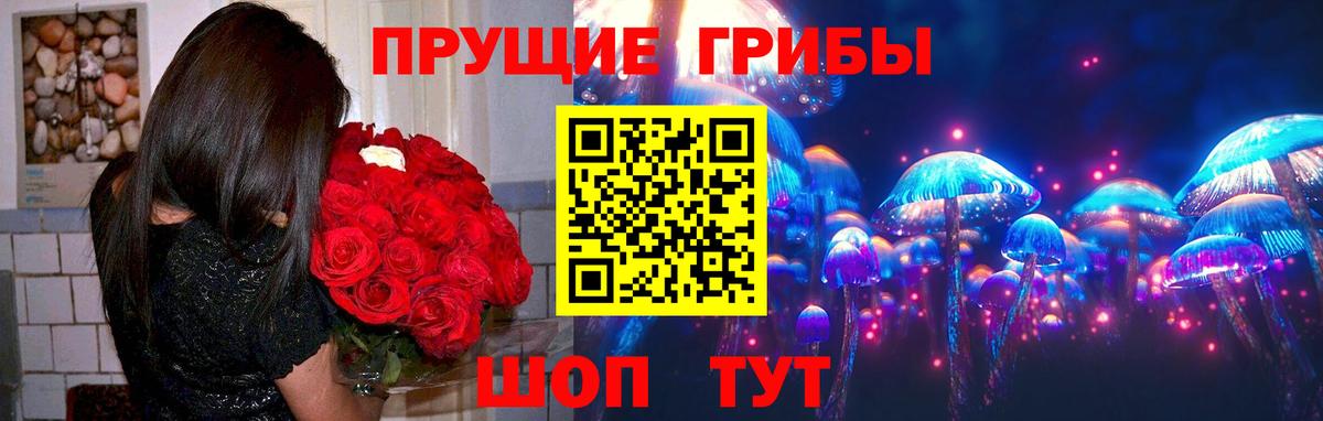 Галлюциногенные грибы мицелий  Псилоцибиновые грибы мицелий  Ростов-на-Дону 